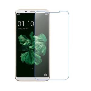 Anti BlueRay (saves your eyes from unwanted rays) Screen protector compatible for 10 Or D2 (not a tempered glass)