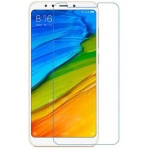 Anti BlueRay (saves your eyes from unwanted rays) Screen protector compatible for 10 Or D2 (not a tempered glass)