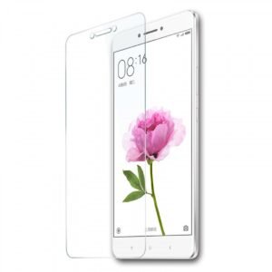 Anti BlueRay (saves your eyes from unwanted rays) Screen protector compatible for 10 Or D2 (not a tempered glass)
